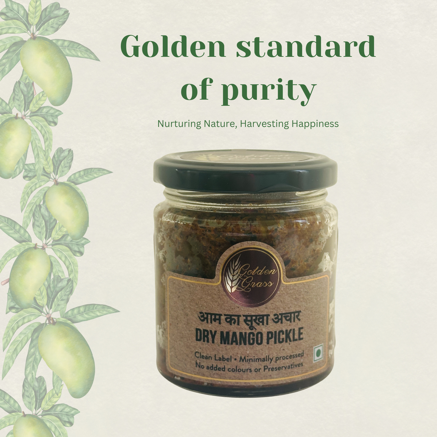 Dry Mnago Pickle