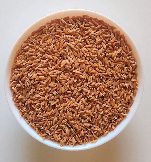 Khapli Wheat